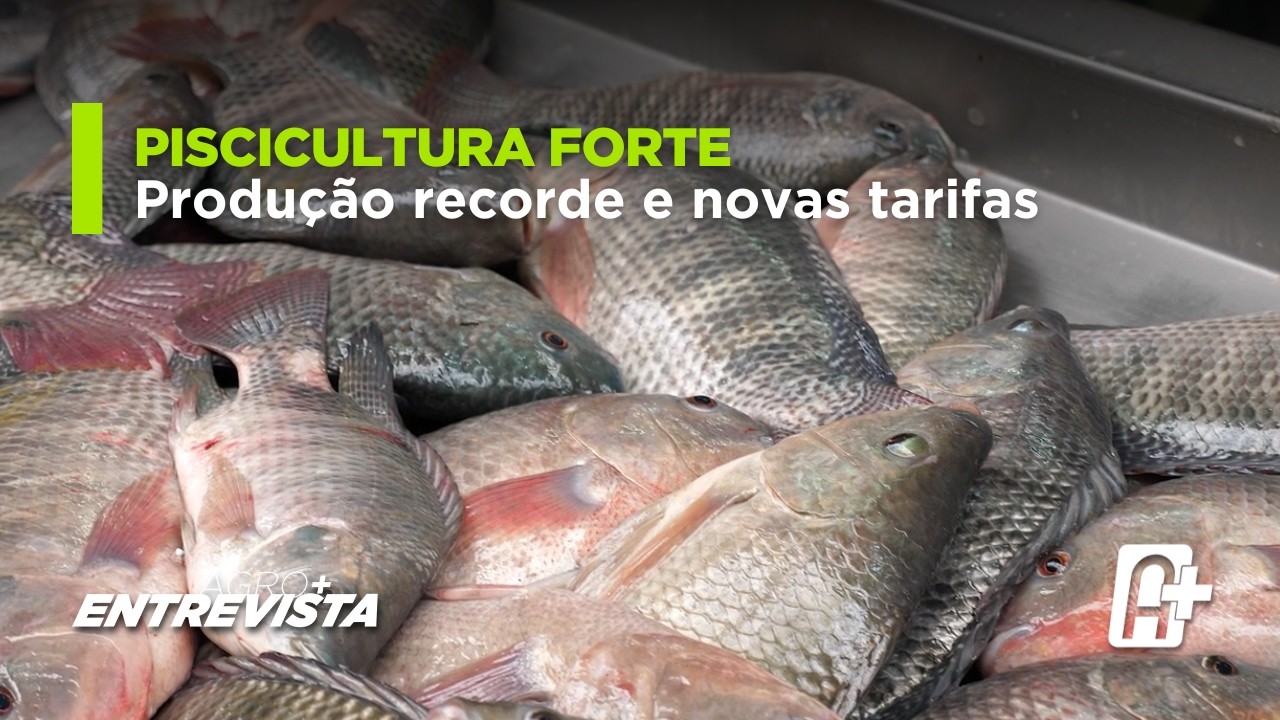 Piscicultura: recorde de 1 Milhão toneladas e tarifa dos EUA | Agro+ Entrevista
