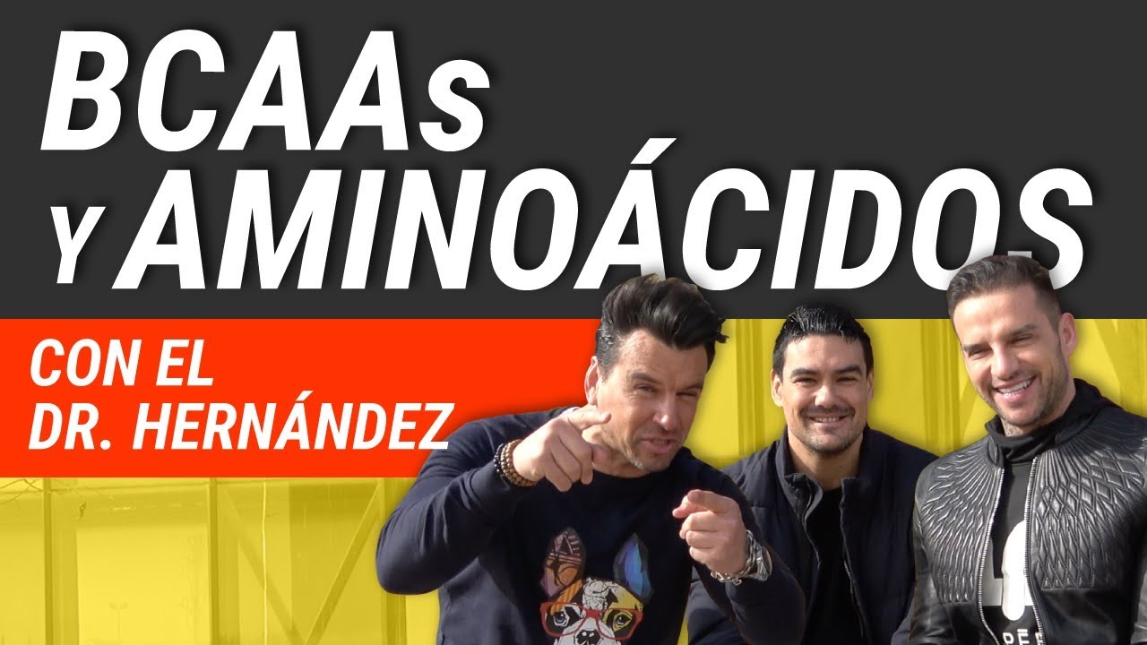 BCAAs y Aminoácidos Esenciales: Dudas y Tips | Dr. Hernández