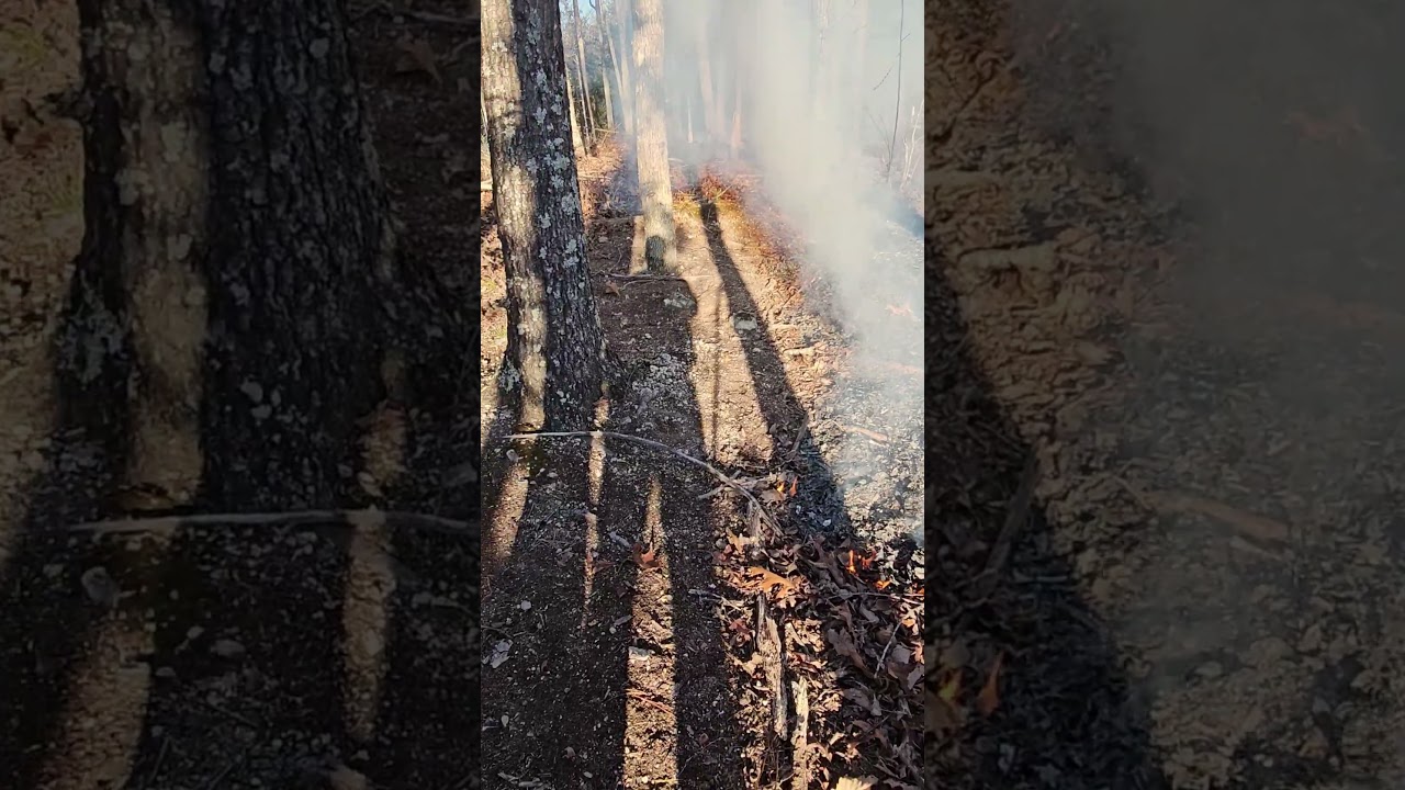 Small acreage prescribed burning hardwoods NW GA. 