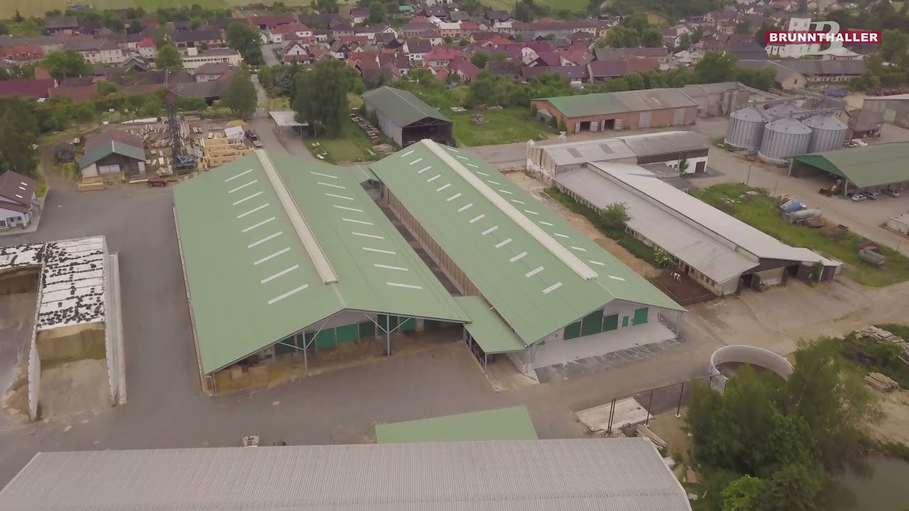 ZD Velká Losenice - OMD