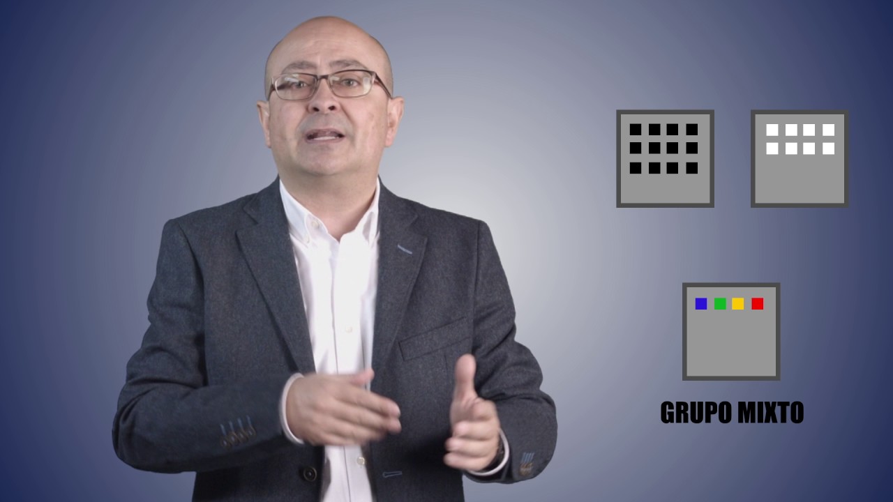 Órganos directivos de las Cámaras (IV) Los Grupos parlamentarios