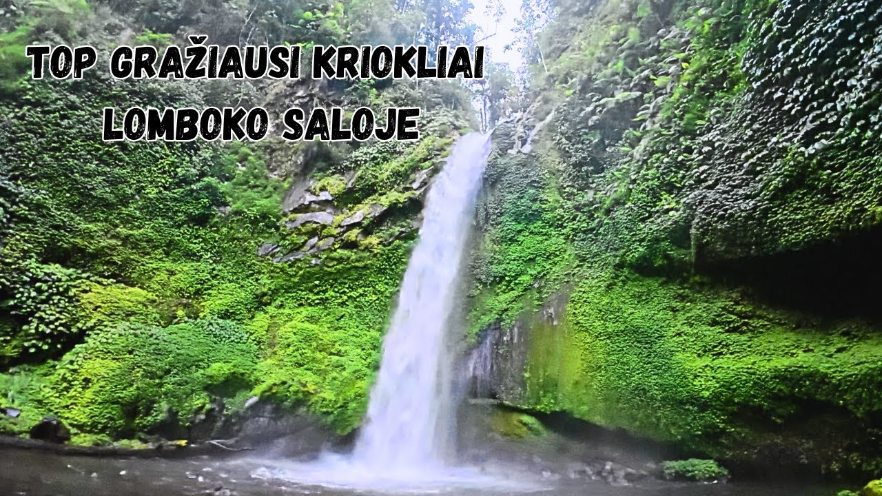 Gražiausi Lomboko kriokliai , Nuotykiai džiunglėse, kritimai ir tikra laukinė diena
