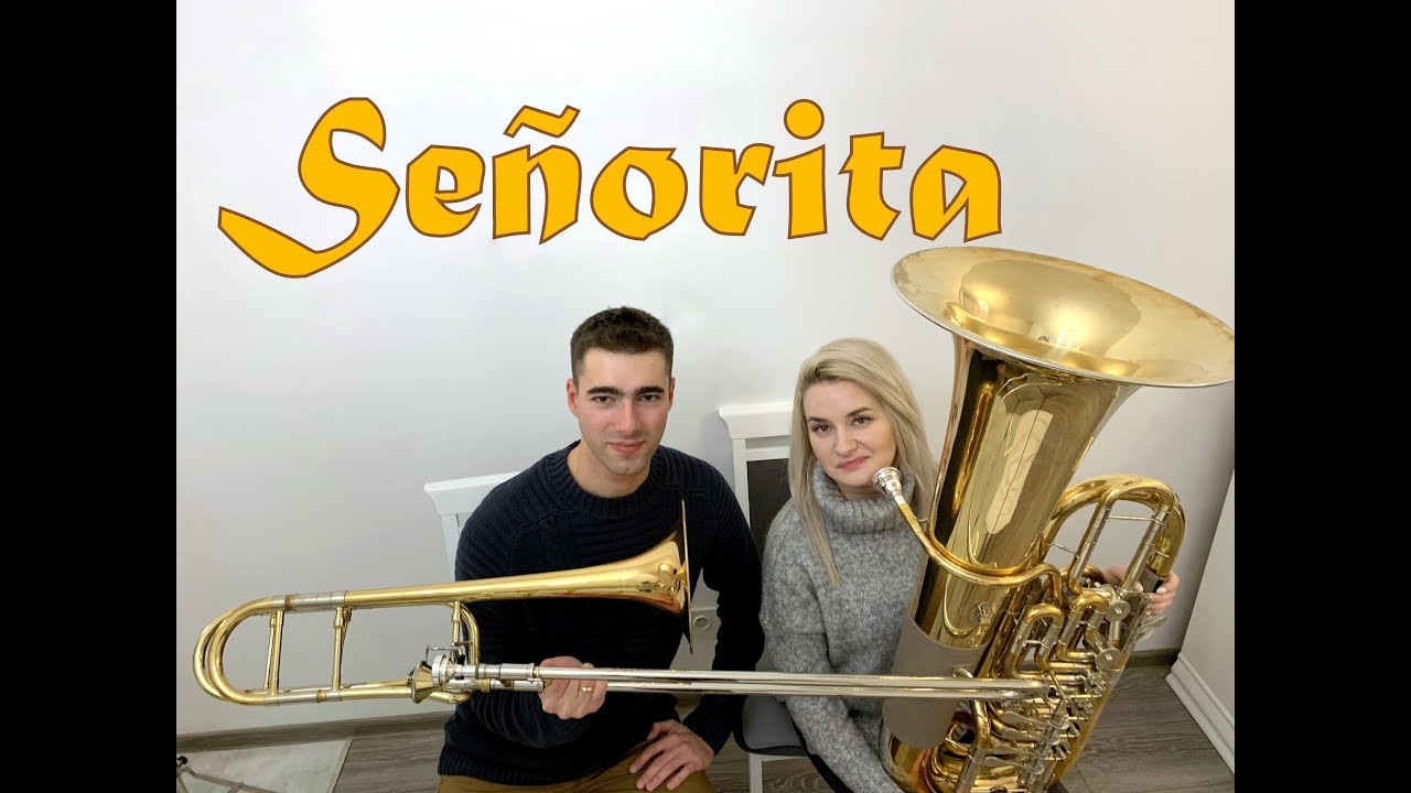 Señorita - Shawn Mendes, Camila Cabello - Double Brass (Trombone & Tuba Cover)