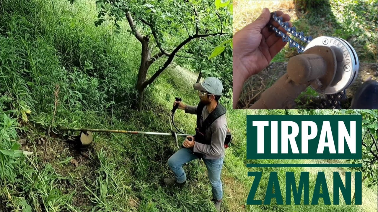 SECHO 5500 S motorlu tırpan. FERRİNO zincirli canavar başlık. OT BİÇİYORUM | #tarımvlog 42