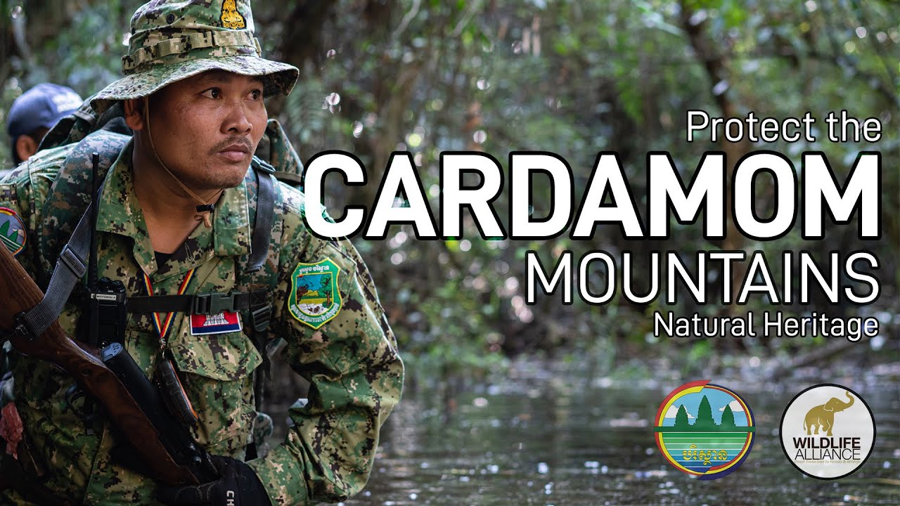 Protect the Cardamom Mountains Natural Heritage