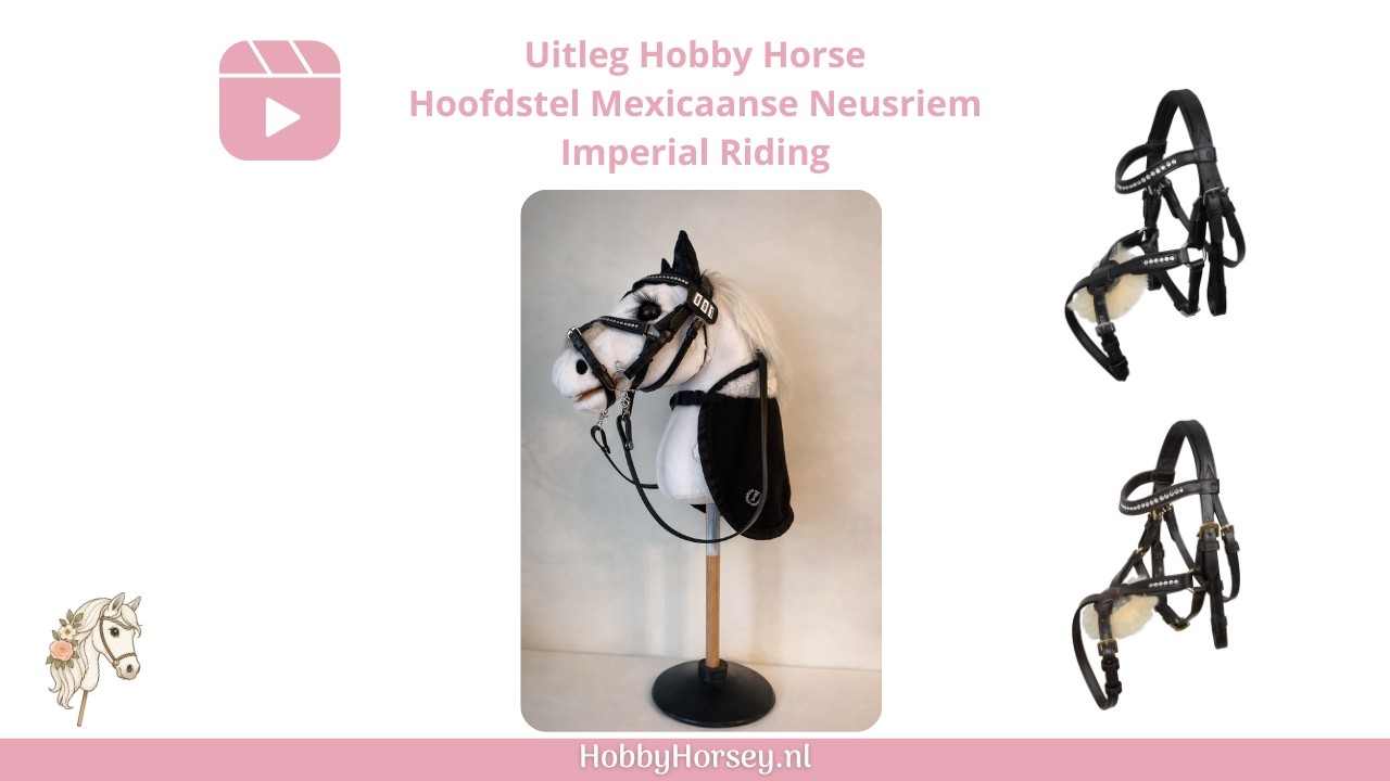 Hobby horse Hoofdstel met Mexicaanse Neusriem | Imperial Riding Uitleg & Review