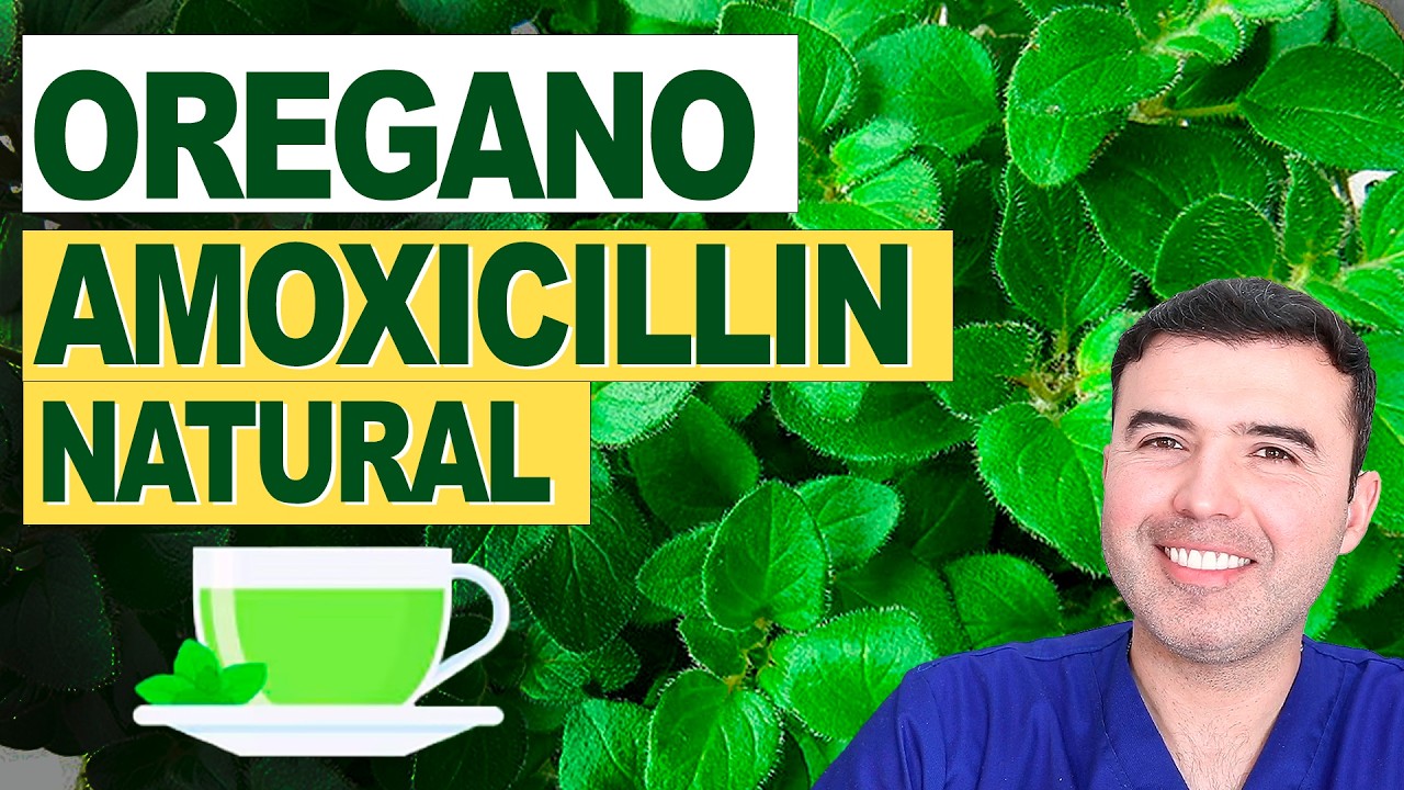 🌿 OREGANO The most POWERFUL natural antibiotic you have at home (use it like this)