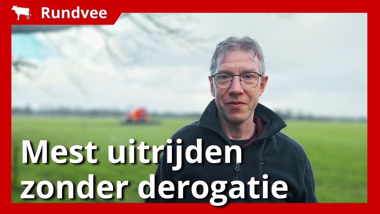 Mest uitrijden zonder derogatie in 2026