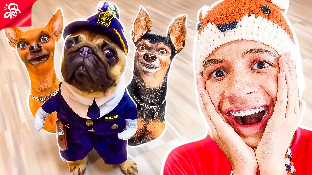 REAGINDO AOS CACHORROS MAIS ENGRAÇADOS E FOFOS DO YOUTUBE