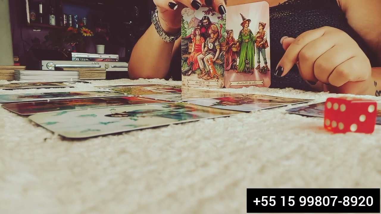 COMO ESTÁ A VIDA DESSE CASAL? 🦊💥🐻