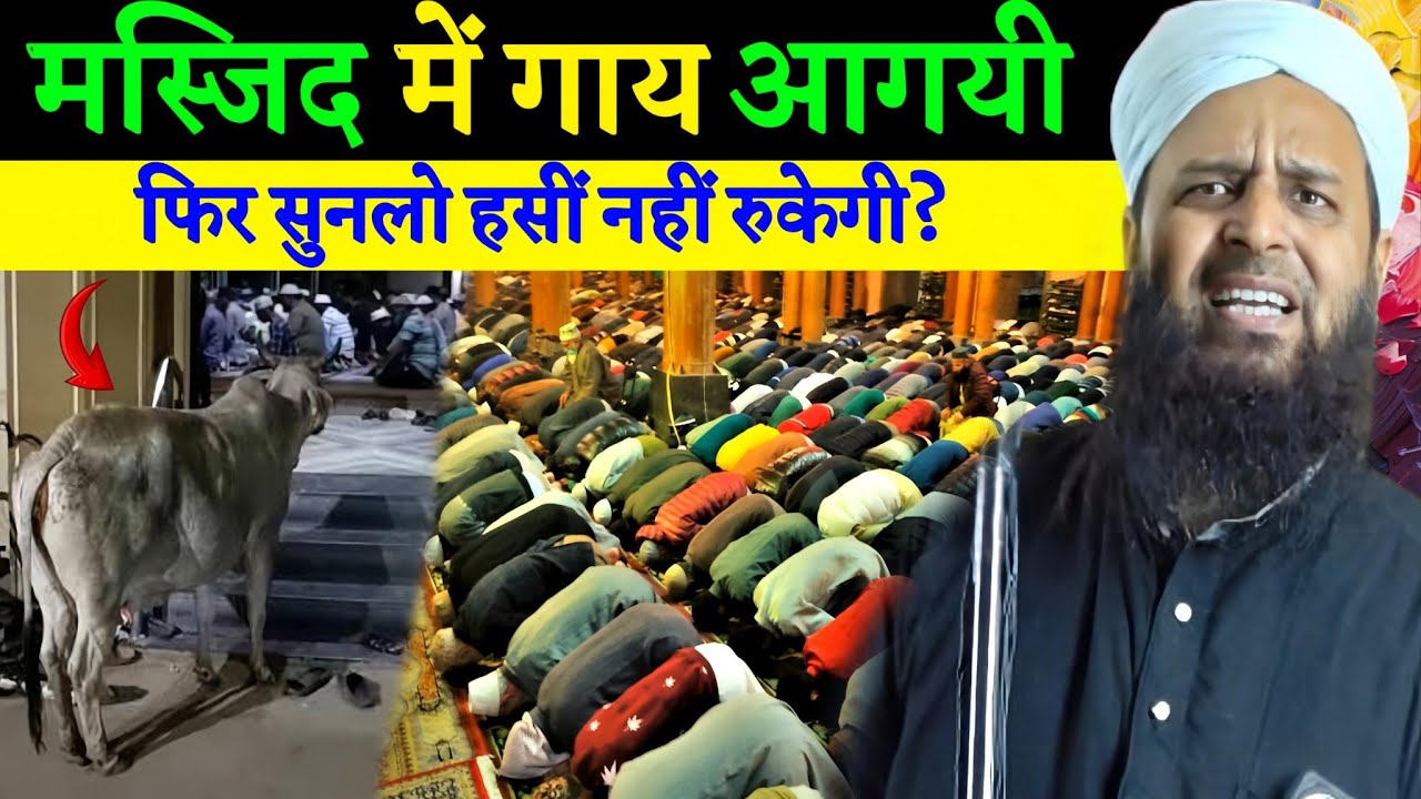 मस्जिद में गाय आ गई, नमाज़ के बीच हैरान कर देने वाला वाक़या Maulana Sohrab Kolkatta New Bayan