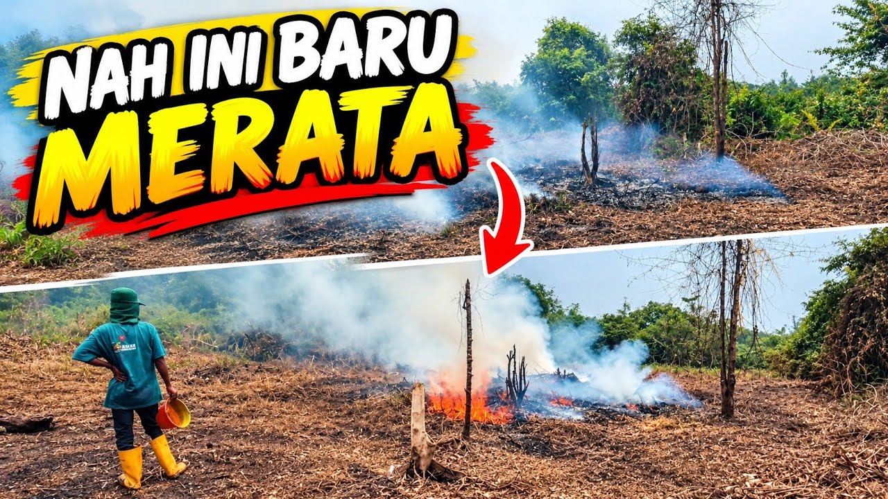 PAKAI MINYAK TAMBAHAN SEMAKIN MERATA PEMBAKARAN DILAHAN BARU