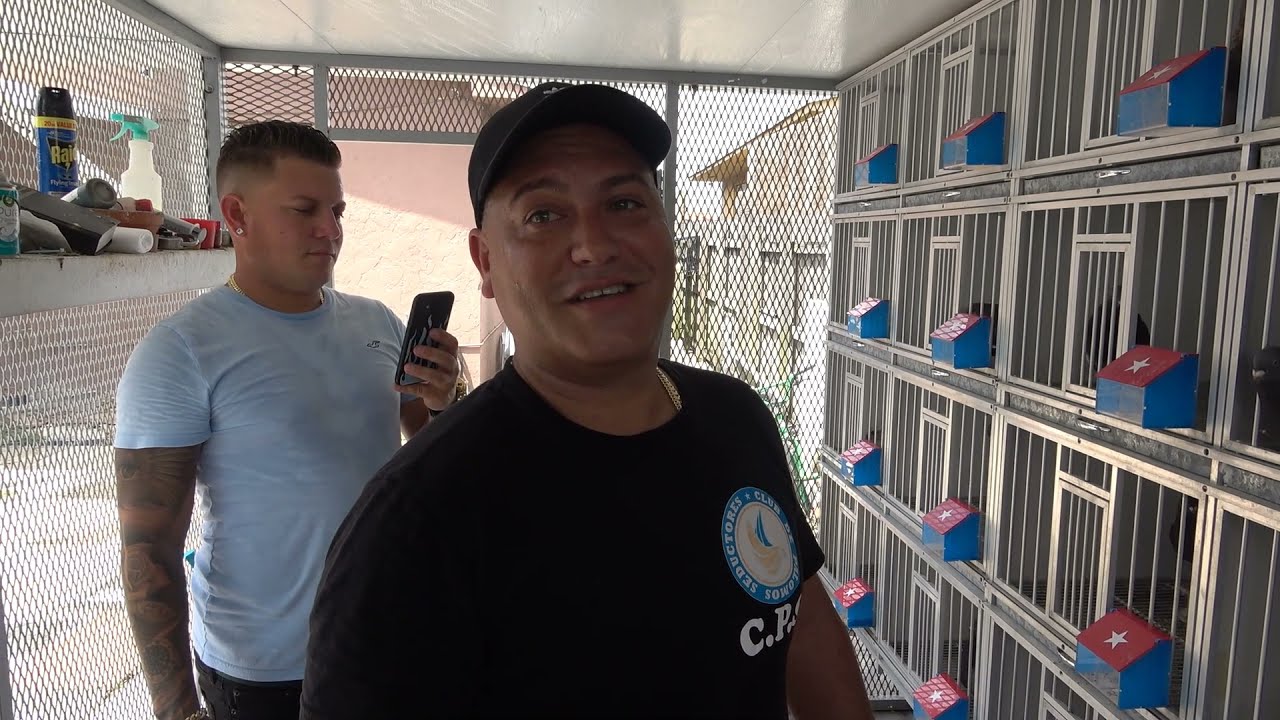 Reproductores de Papito