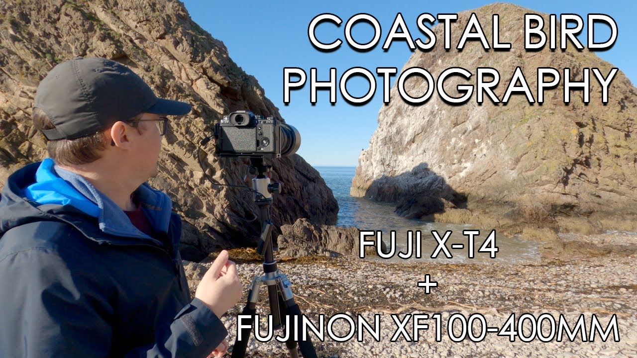 Coastal Bird Photography -  Fuji X-T4 + XF100-400mm