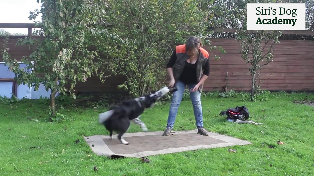 Impulskontrol #2