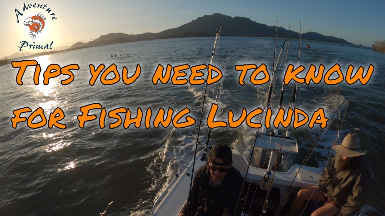 Fishing Lucinda and the Hinchinbrook Waterways