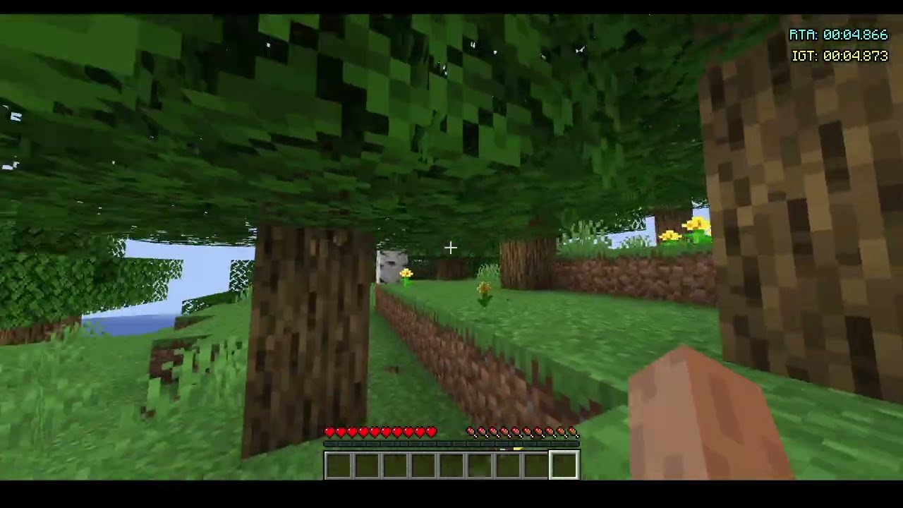 weird speedrunning clips idk