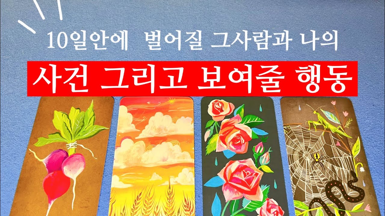 ❤️{소오름우수수타로} 앞으로의 10일동안 상대방과 나 사이 벌어질 일과 그사람의 행동을 보여드릴게요 안보시면 후회합니다❤️