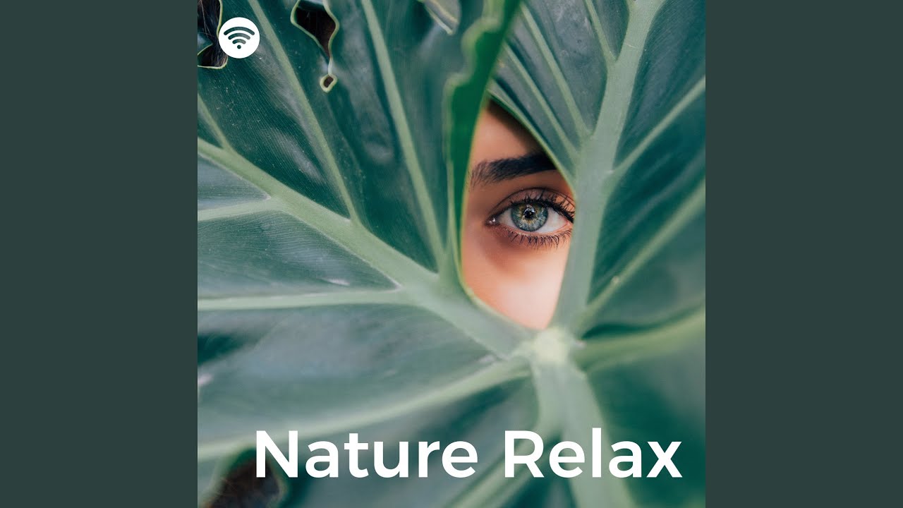 Peaceful Leafy Sanctuary (Relaxing Spa Soundscape)