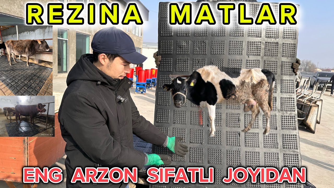 REZINA . MOLLAR TAGIGA REZINA MATLAR YETIB KELDI 