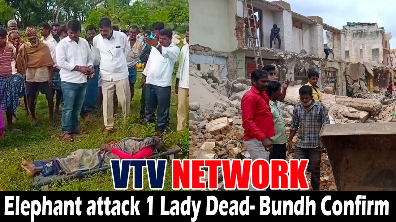KGF VTV NEWS- Elephant Attack 1 Lady Dead- Bundh Confirm- SPB- Bhagat Singh- BJP- Ashok Nagar Road