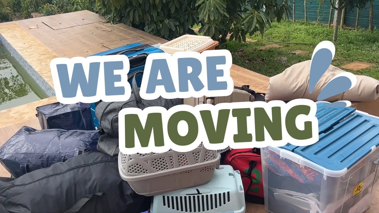 WE ARE MOVING | MOVING VLOG | LIFE IN MOROCCO