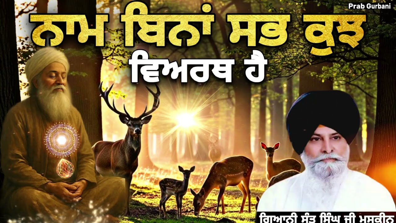 ਨਾਮ ਬਿਨਾਂ ਸਭ ਕੁਝ ਵਿਅਰਥ ਹੈ || Giani Sant Singh Ji Maskeen || Prab Gurbani 