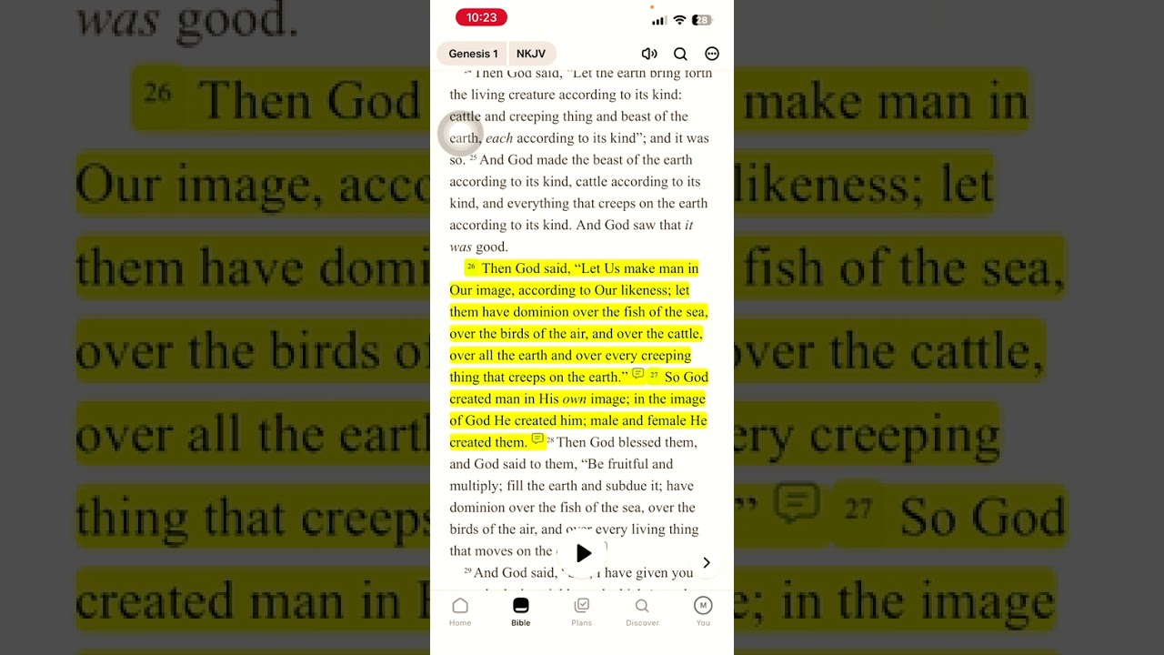 Who are we? The image of God or the echo of the serpent?