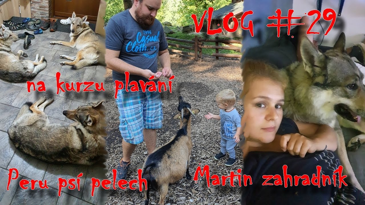 Peru psí hračky a pelech, Martin množí  | VLOG #29