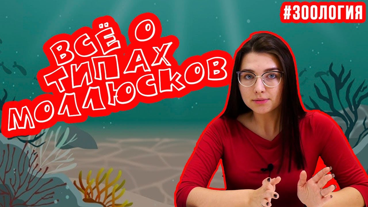 Моллюски | Зоология #8 | ЕГЭ БИОЛОГИЯ