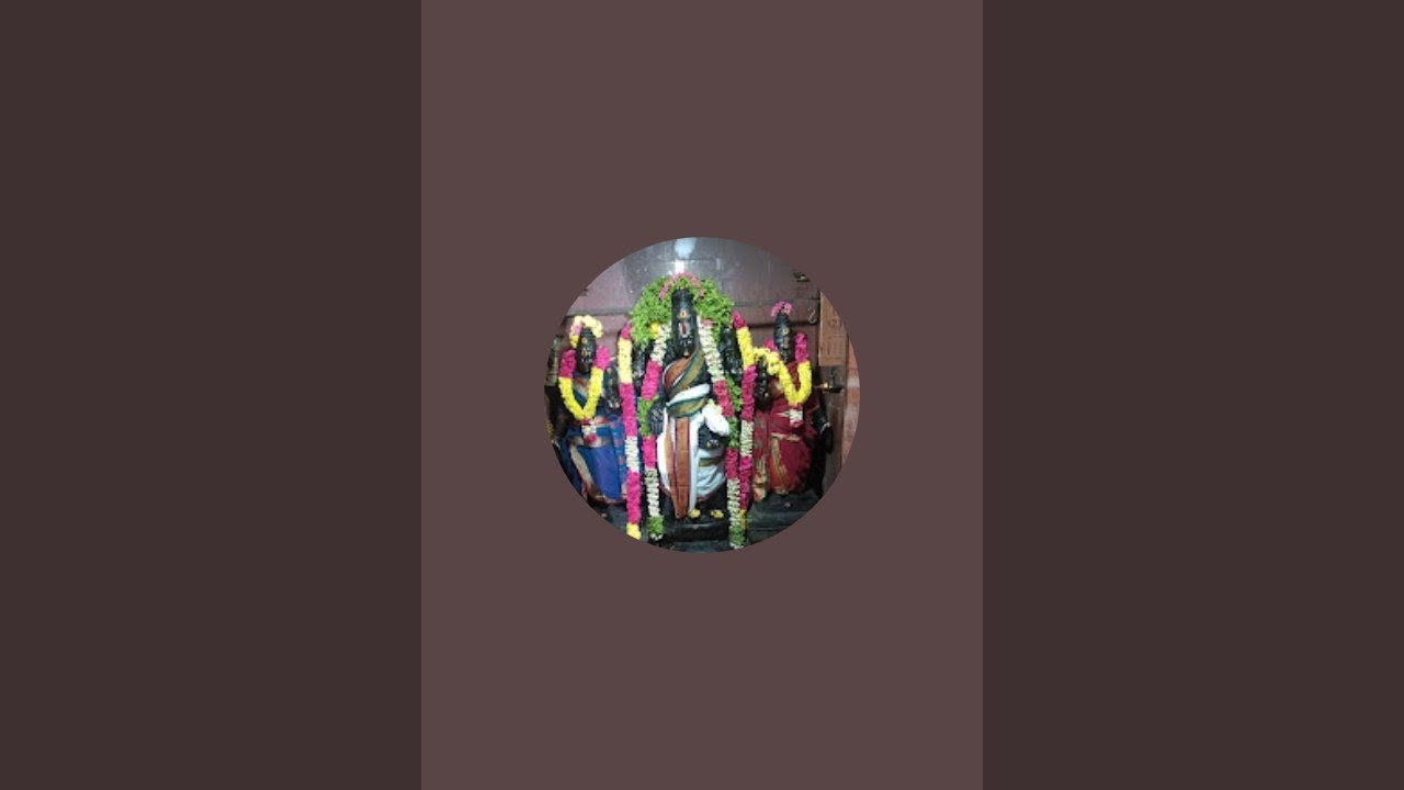 Daily Darshan 🙏✨ | Sai Baba / Perumal / Amman Blessings Today 🌸🔥