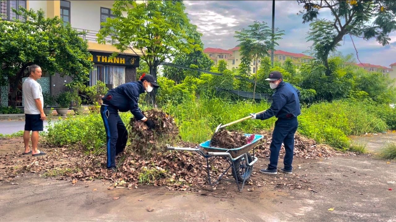 Помогите соседям убрать слишком много мусора, сухих листьев и густой травы перед домом.