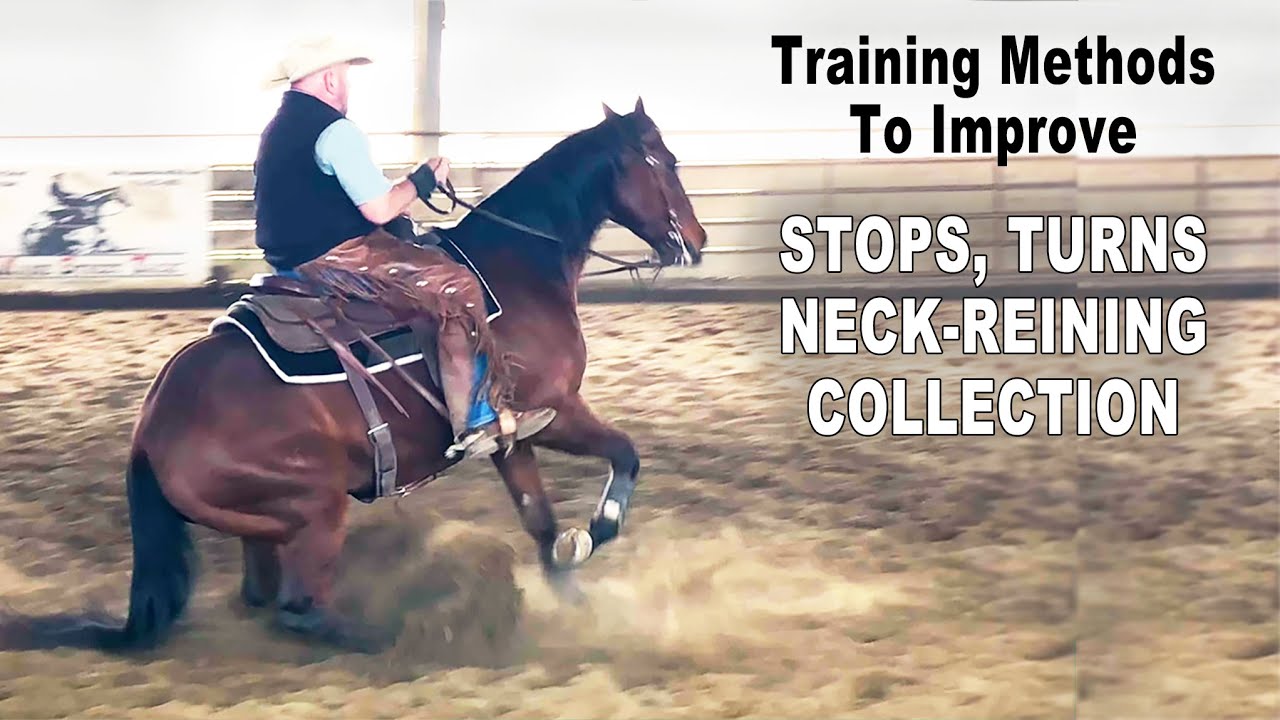 Horse Training Methods to Improve Stops, Turns, Neck-Reining & Collection