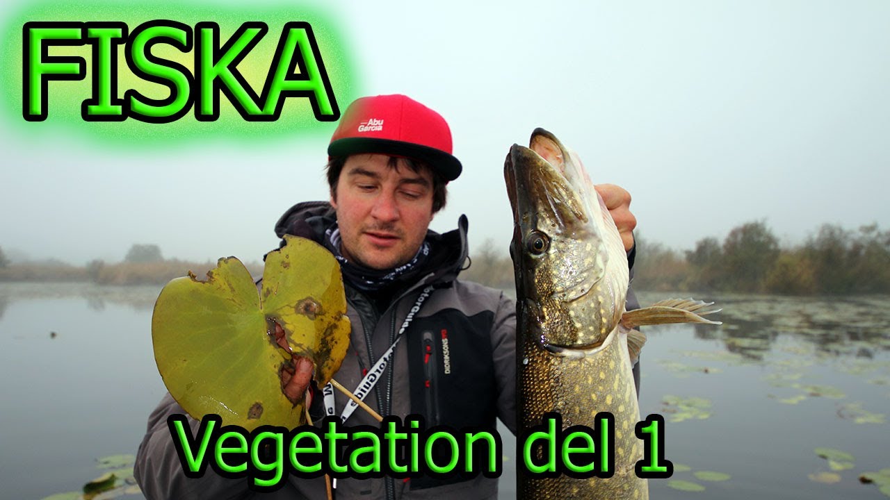 FISKA - Gädda i vegetation, del 1