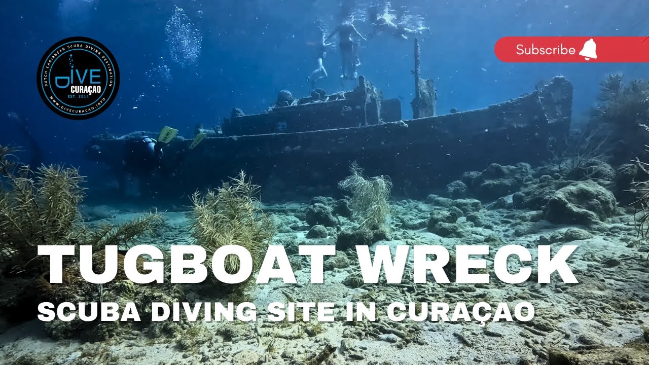 Diving the Tugboat Wreck Dive Site in Cura&ccedil;ao: 4K Scuba Diving at Tugboat Beach