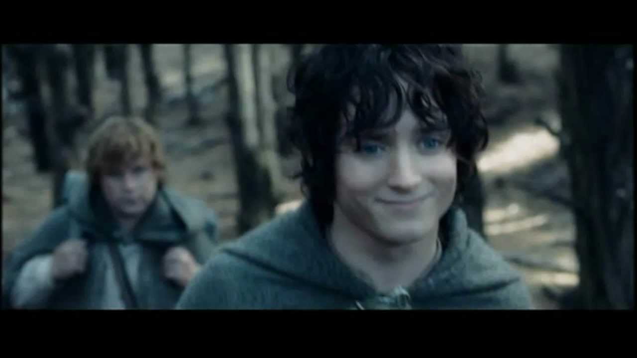 Stop and Stare - Frodo and Sam