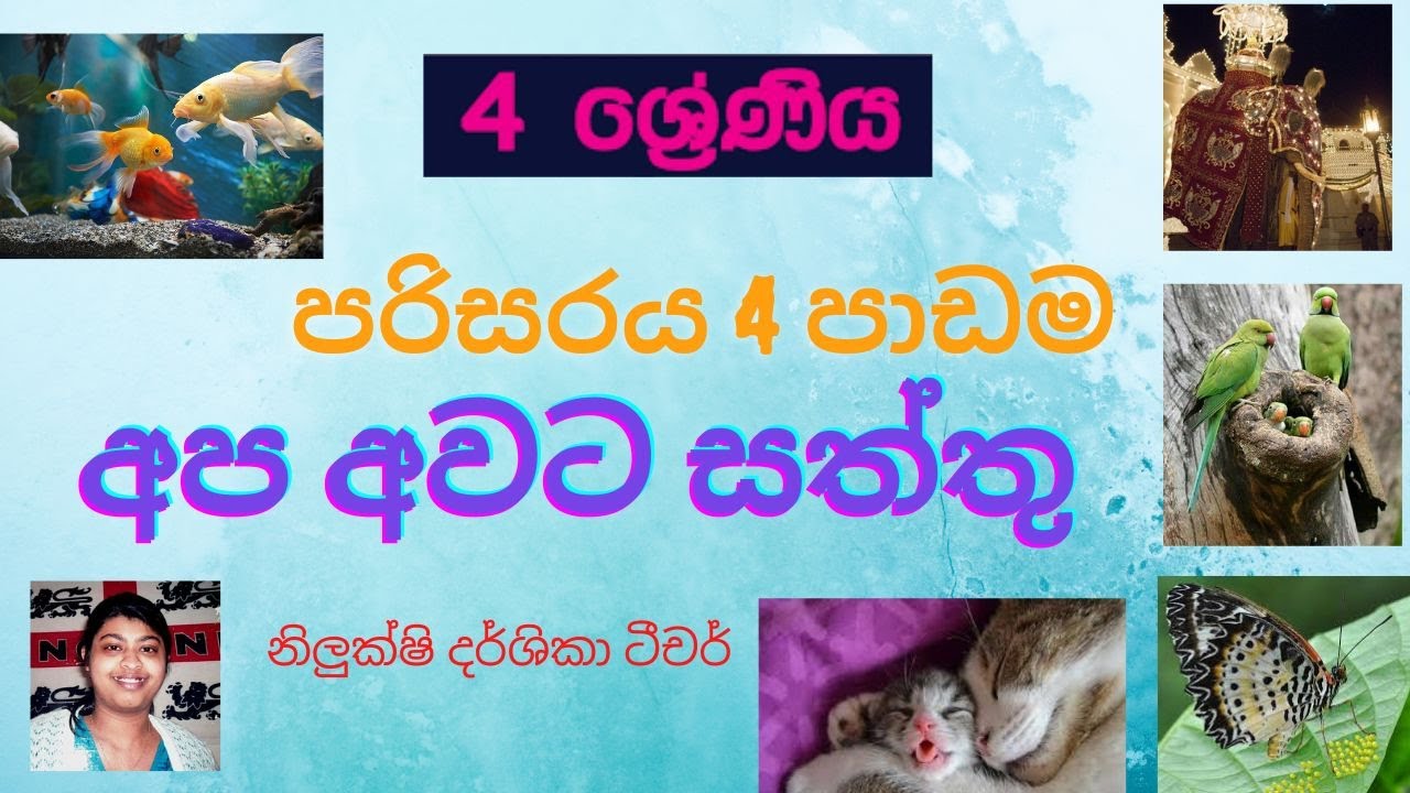 GRADE 04 | APA AWATA SATHTHU | 4 වසර පරිසරය අප අවට සතුන්