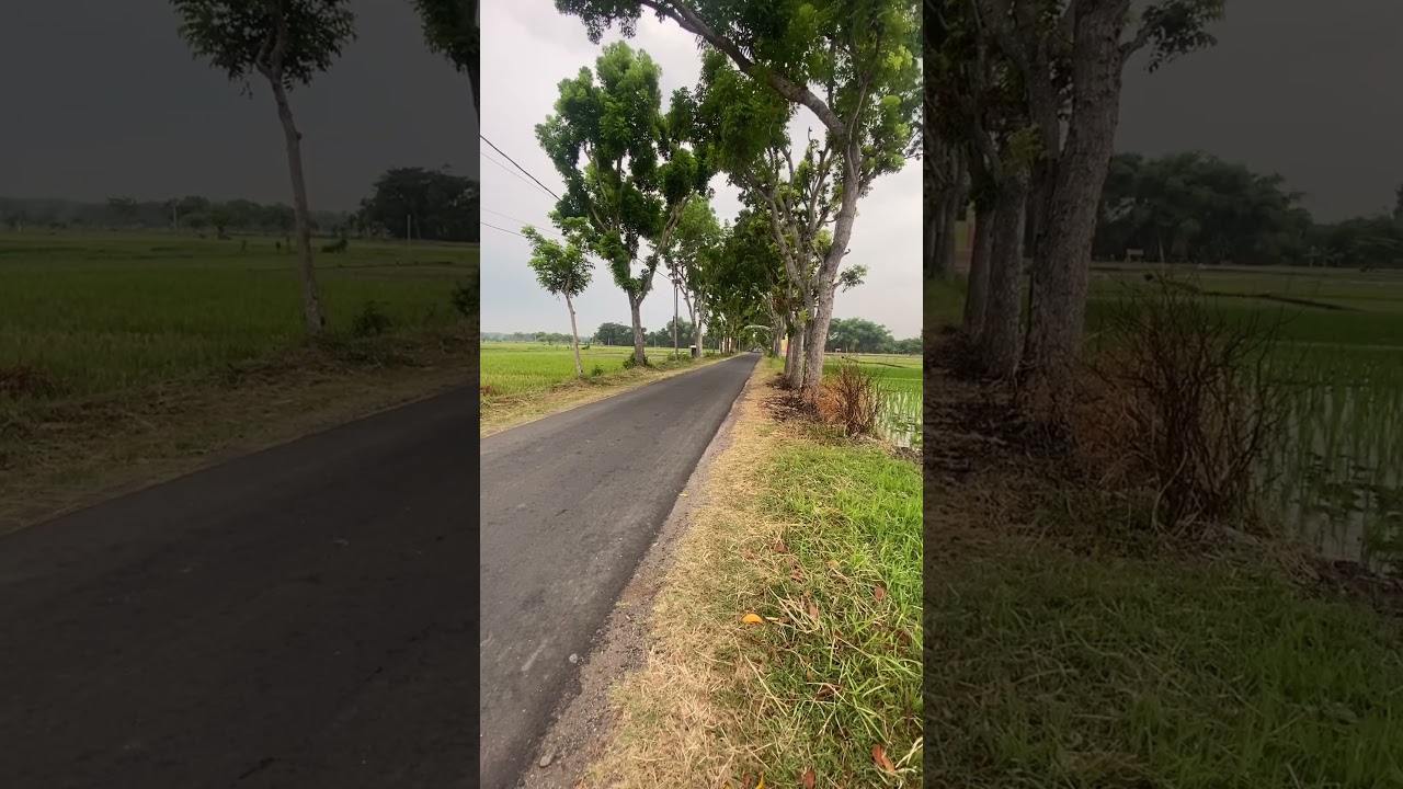seting Fu 200cc rangka STDmodif👌 #fuporting #fuwungkul147cc #fu150 #fu200 #satriafu