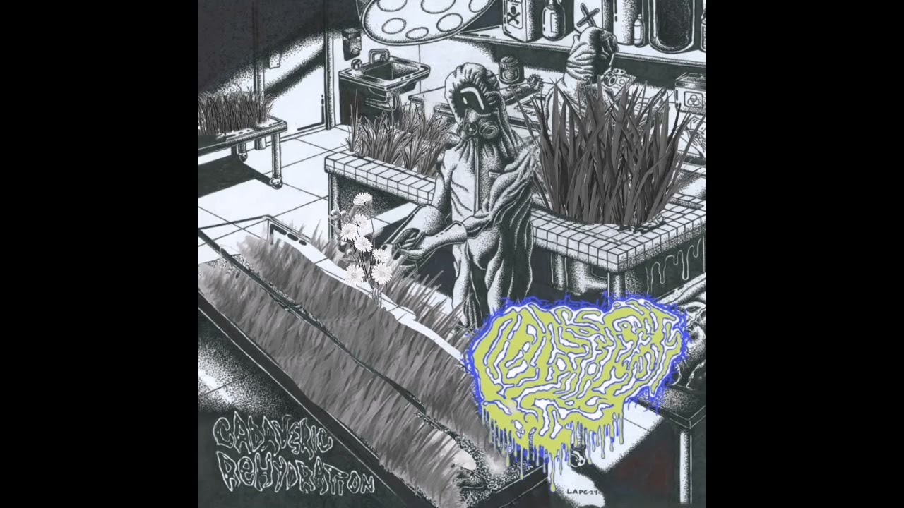 Fetal Deformity - Cadaveric Rehydration (2024)