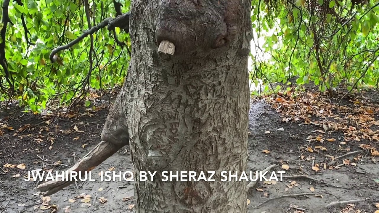 Jwahirul Ishq | Video 32 | Shariyut aur Tariqut | Sufism | Sheraz Shaukat Chishti Sabri