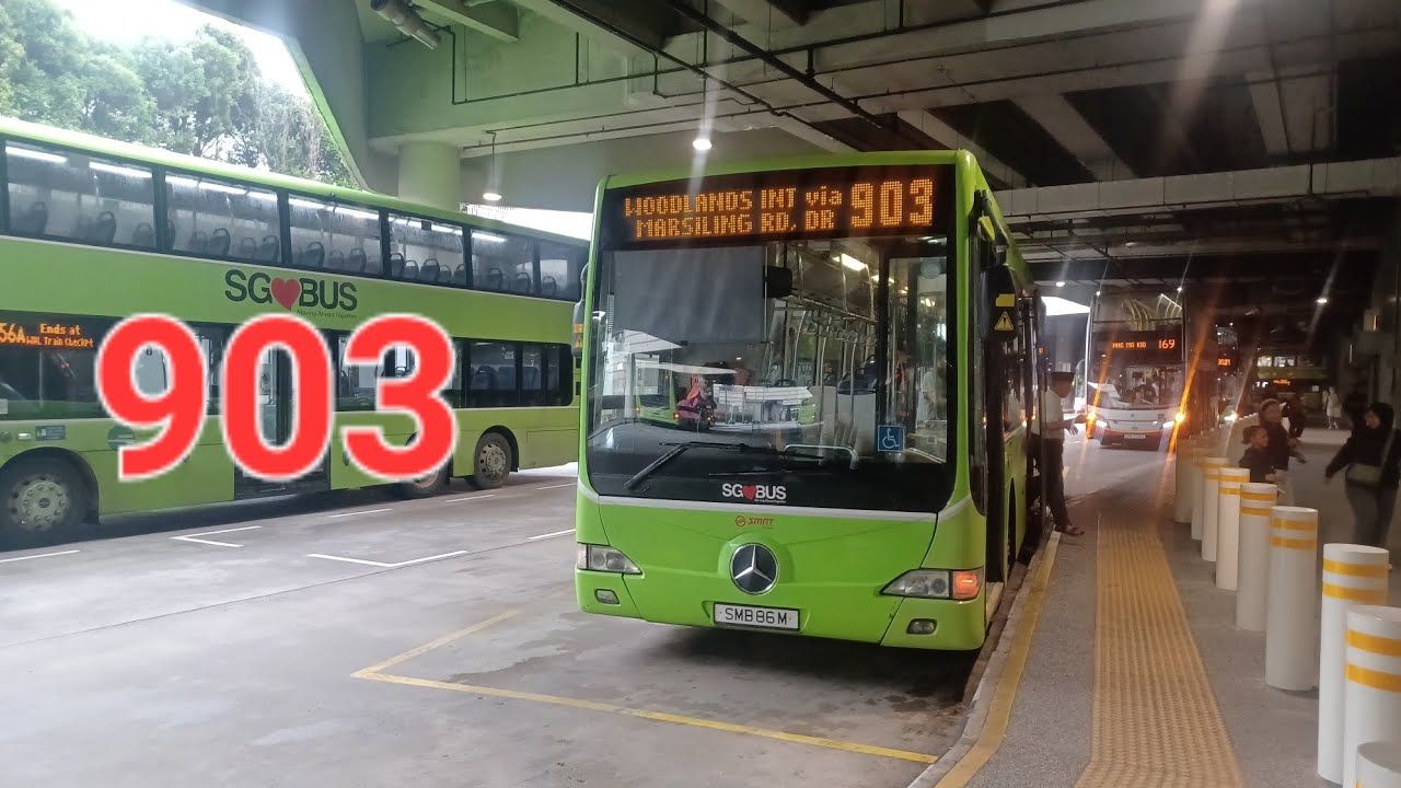 [SMRT] Rare Cameo! SMB86M Woodlands Feeder Service 903 Mercedes Benz OC500LE Batch 2