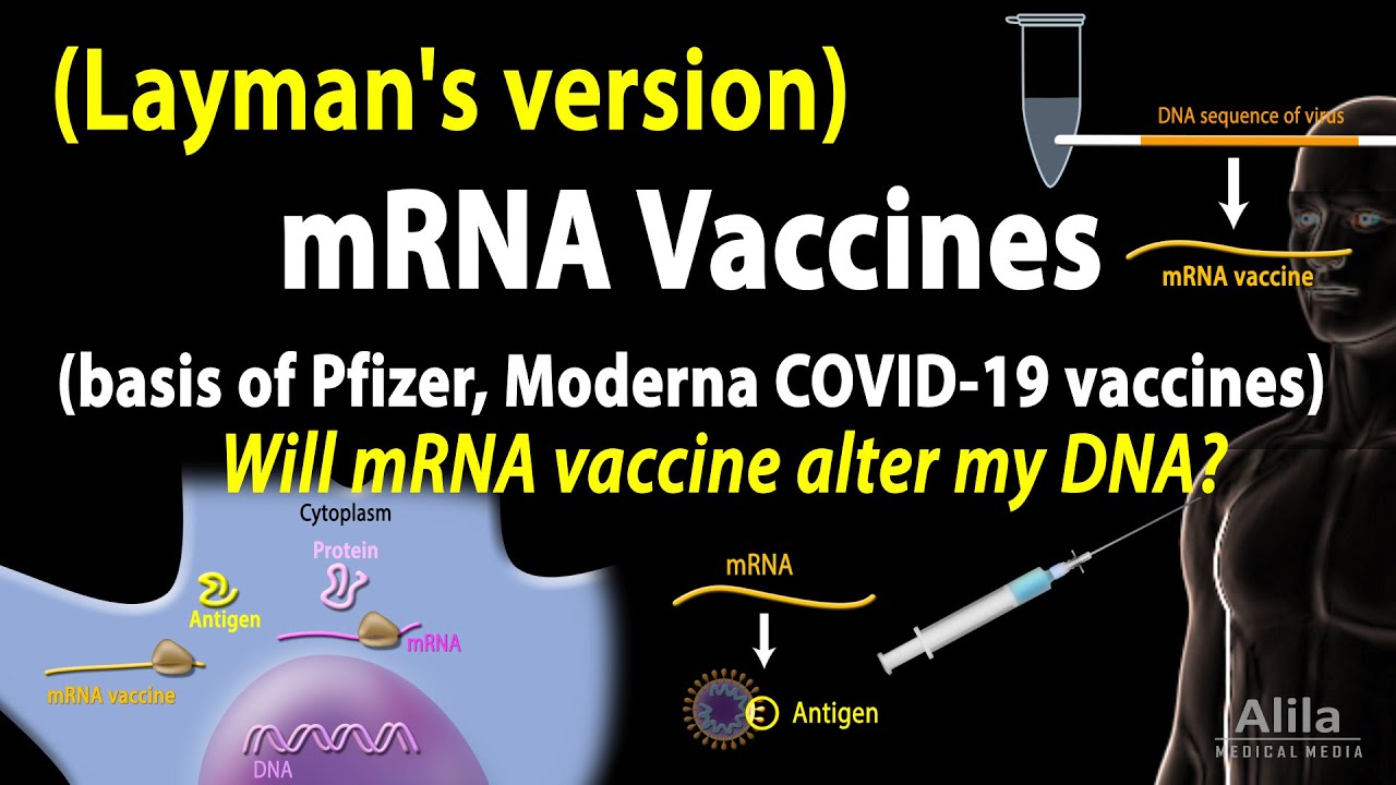 mRNA Vaccines - Layman&rsquo;s version (Pfizer/Moderna COVID-19 vaccines), plus some FAQs, Animation.