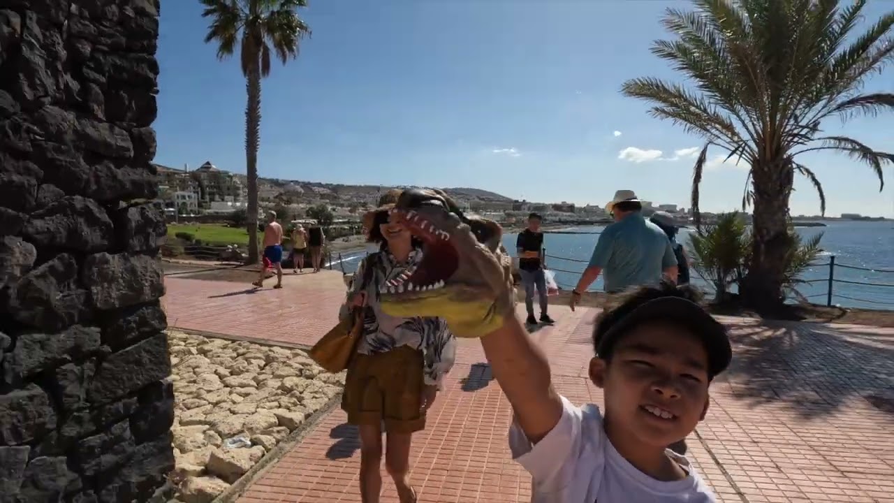 2022年2月 Tenerife岛