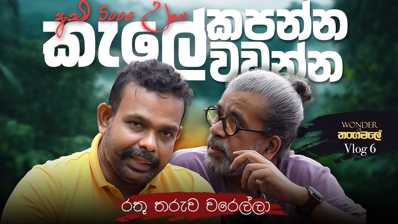 අඩි 5000 උස කැලේ කපන්න කැලේ වවන්න රතු තරුව වරෙල්ලා | Wonder of Thangamale