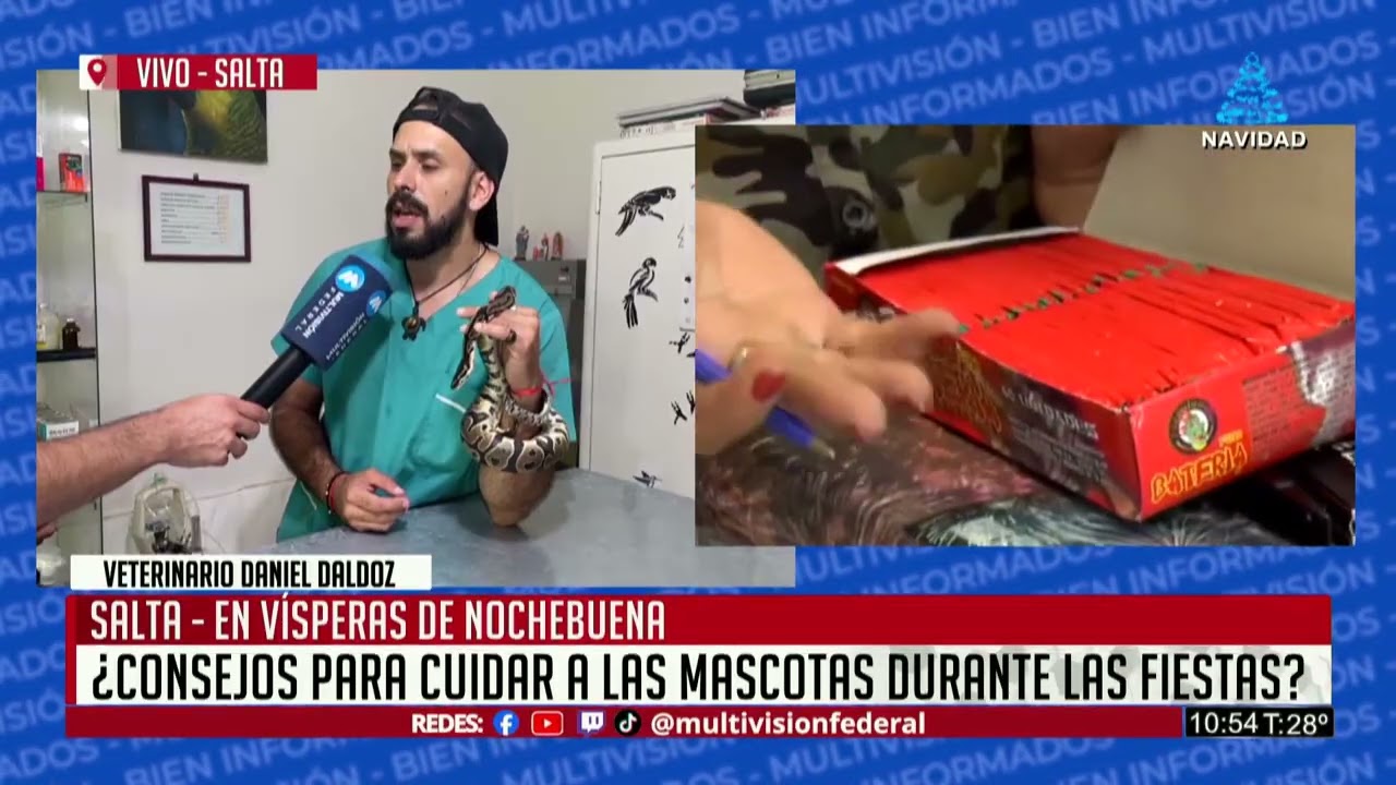 SALTA: ¿CONSEJOS PARA CUIDAR LAS MASCOTAS DURANTE LAS FIESTAS?