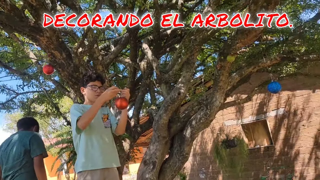 Dando Los Últimos Toques A La Casa!