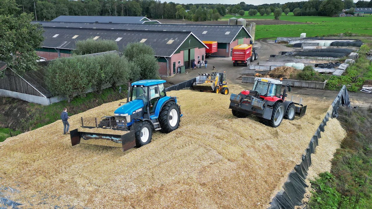 Mais Silage | Ford 8670 + Massey Ferguson | Van Dijk Kalveren | 2022