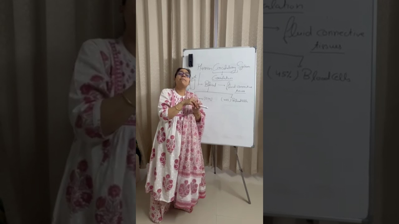 Human Circulatory system,part 1