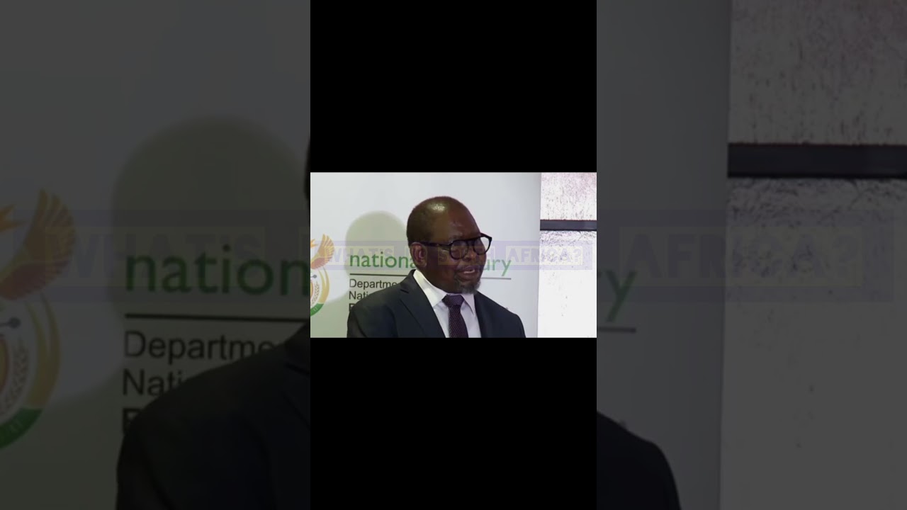 Minister Of Finance Enoch Godongwana speaks about how illegal migration affects our economy
