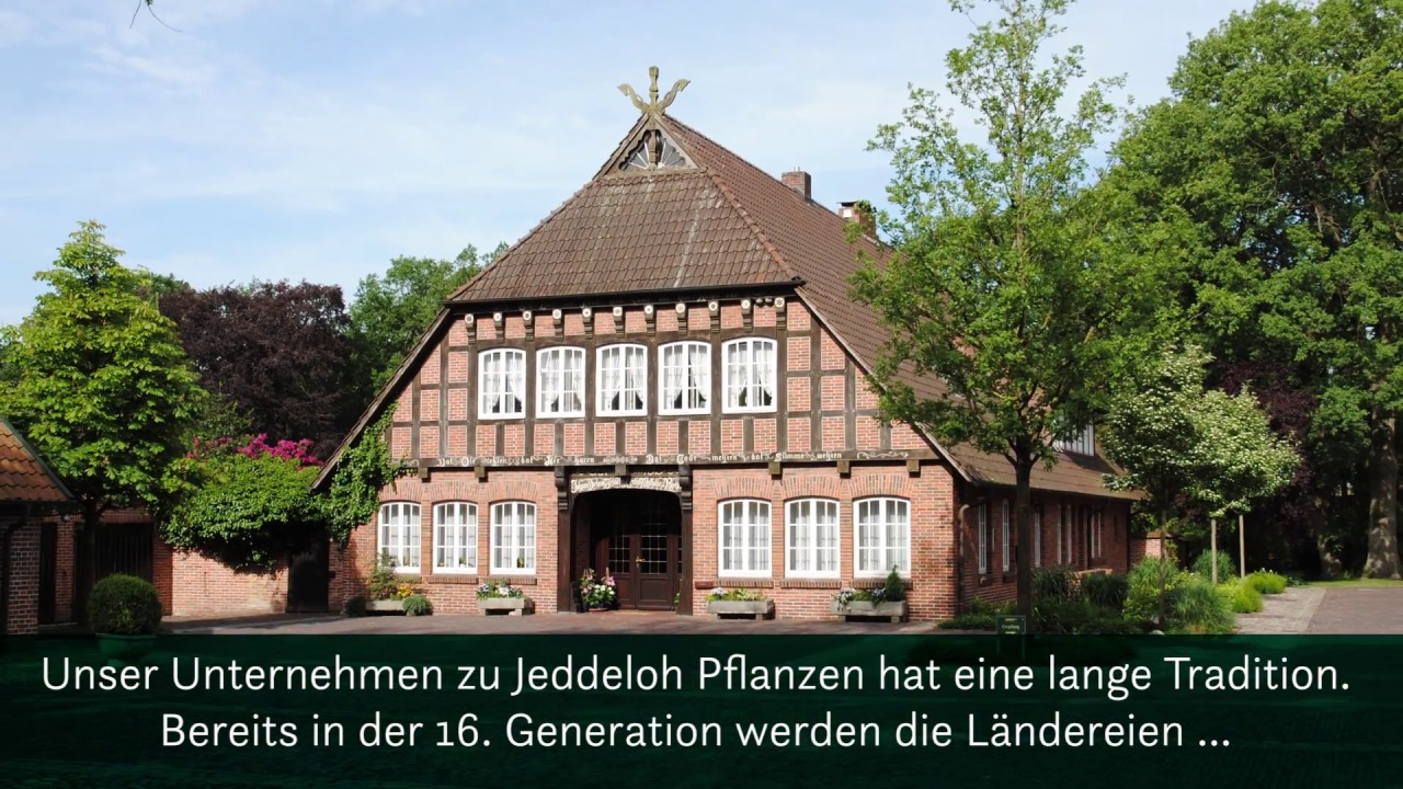 Baumschule zu Jeddeloh Pflanzen - Qualität aus eigener Produktion